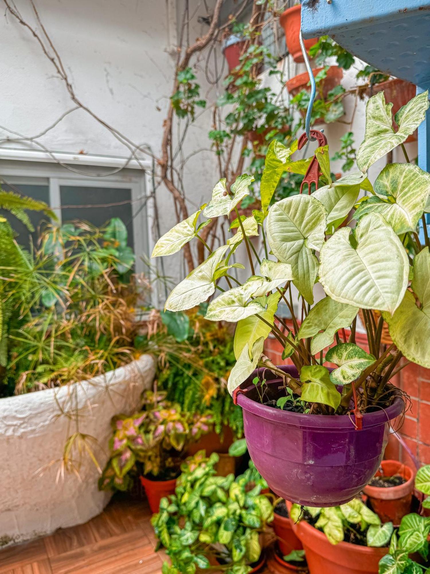 Almodóvar del Río Casa Cruzヴィラ エクステリア 写真